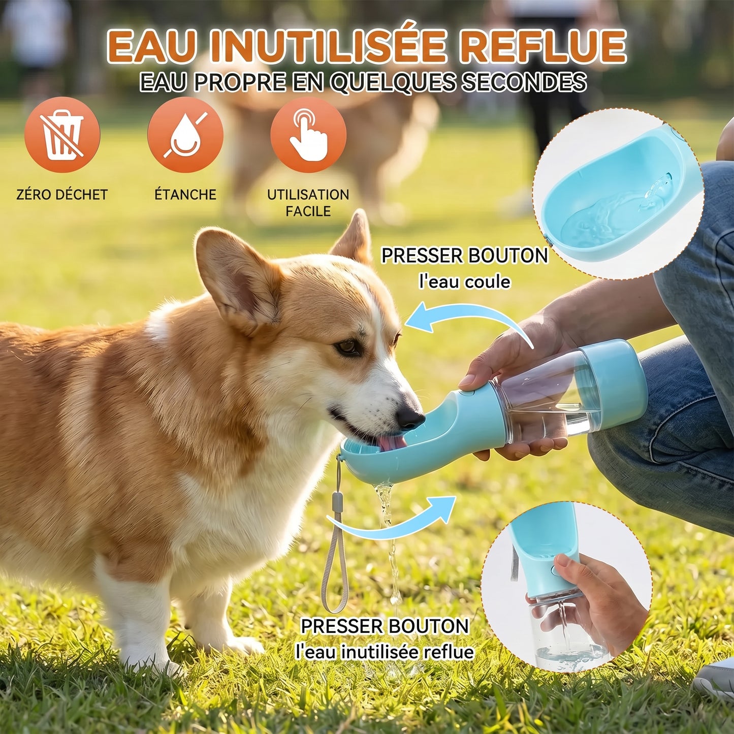 Gourde Chien 4-en-1 Portable · Eau, Nourriture, Bol et Sacs à Déjections pour Balade