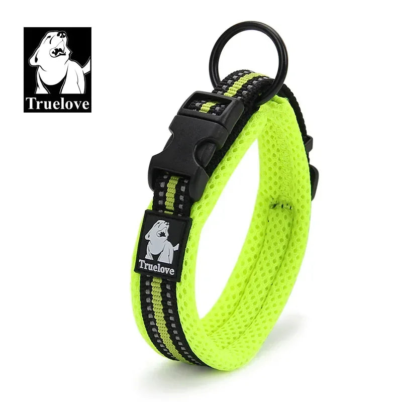 Collier Matelassé Réfléchissant Tout-Temps