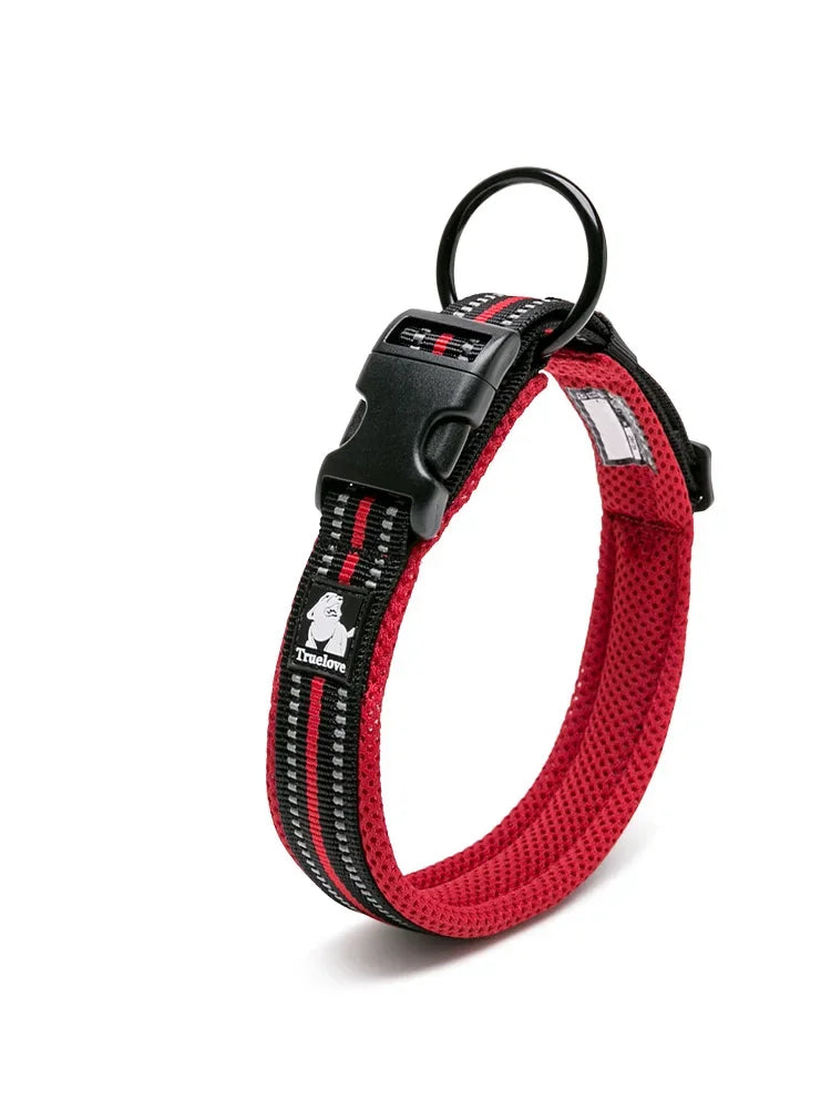 Collier Réfléchissant Confort — Balades Sereines