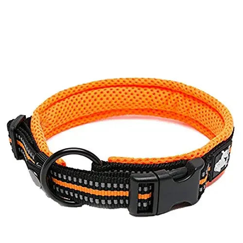 Collier Réfléchissant Confort — Balades Sereines
