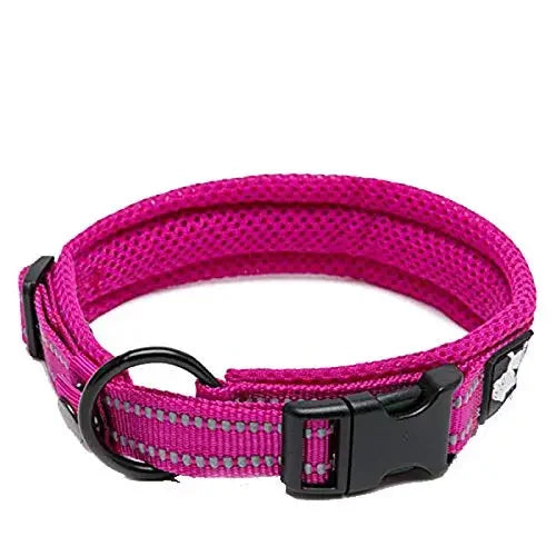 Collier Réfléchissant Confort — Balades Sereines
