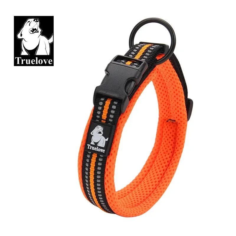 Collier Matelassé Réfléchissant Tout-Temps
