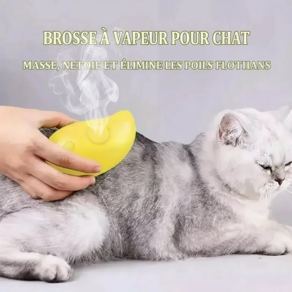 Brosse Vapeur Électrique 3-en-1 pour Chien & Chat – Toilettage, Massage & Anti-Poils