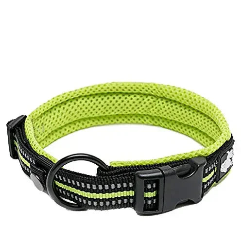 Collier Réfléchissant Confort — Balades Sereines