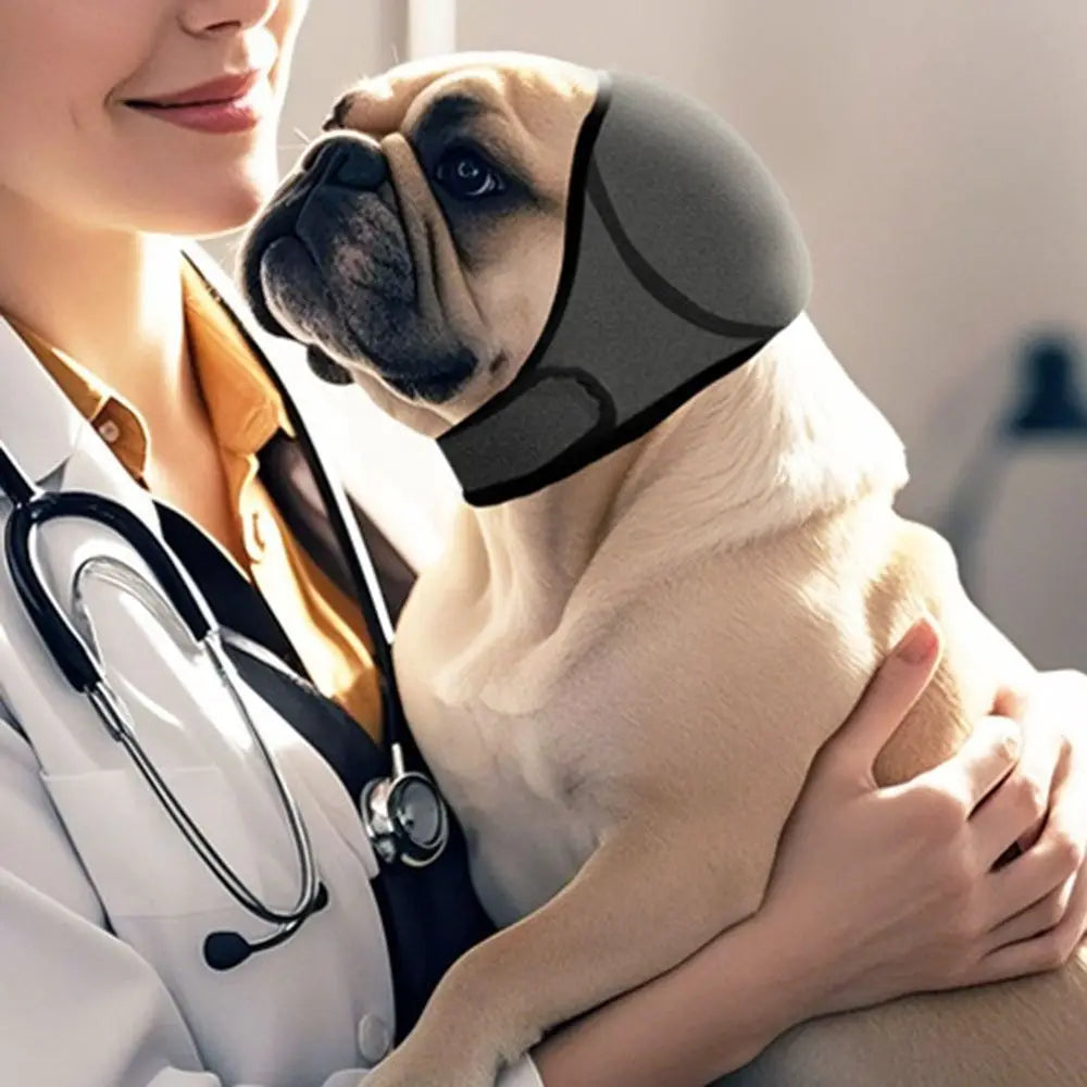 Cache-Oreilles Anti-Bruit Apaisant pour Chien