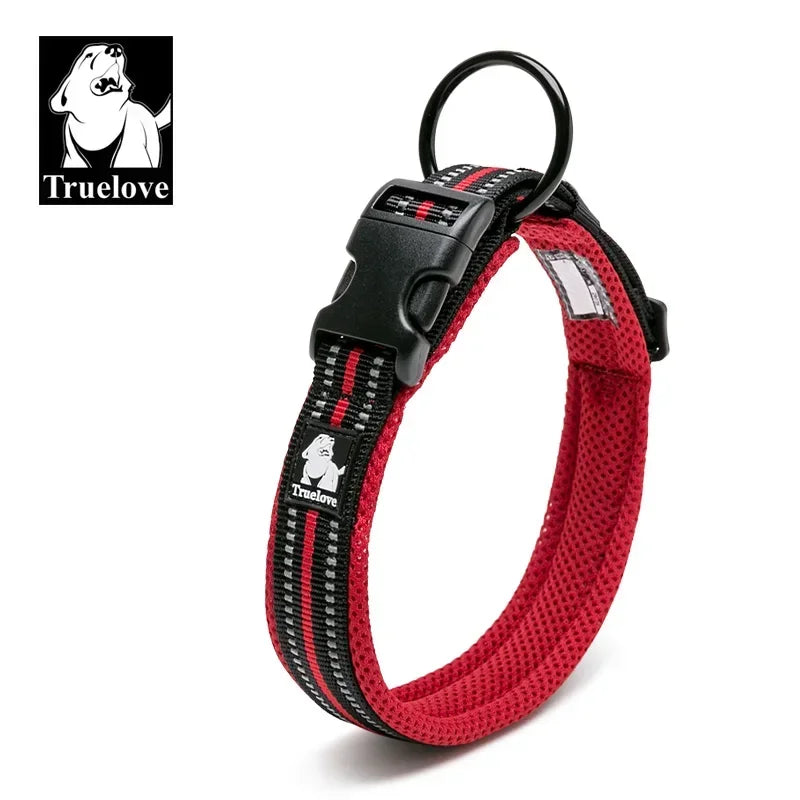 Collier Matelassé Réfléchissant Tout-Temps