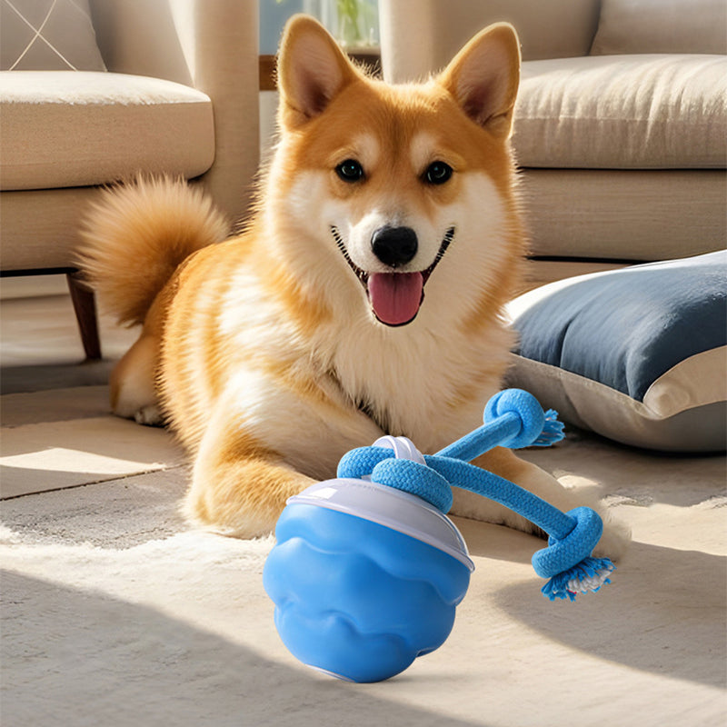 Balle interactive électronique apaisante pour animaux de compagni