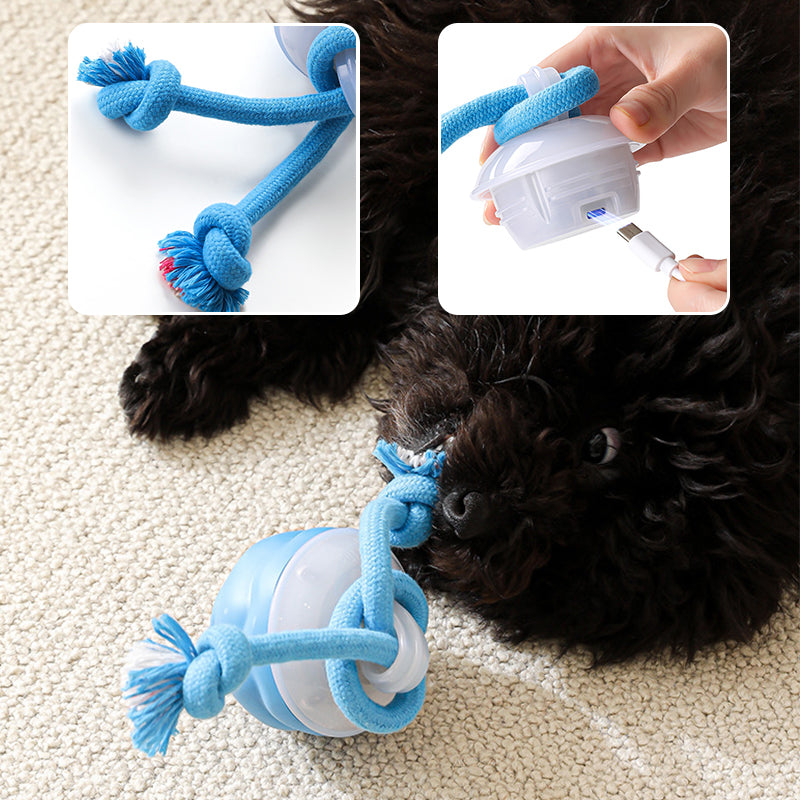 Balle interactive électronique apaisante pour animaux de compagni